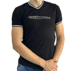 Оптом чоловіча футболка v-подібна p 24144 (m l xl xxl) чорний в асортименті - фото 1