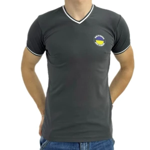 Оптом чоловіча футболка v-подібна p 24310 (s m l xl) фума в асортименті - фото 1