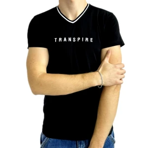 Оптом чоловіча футболка v-подібна 2 p 24355 (m l xl xxl) чорний в асортименті - фото 1