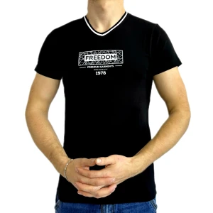 Оптом чоловіча футболка v-подібна 2 p 24015 (s m l xl) чорний в асортименті - фото 1