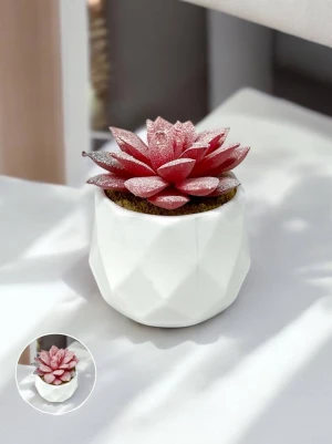 Оптом штучний міні-сукулент в горщику (lotus) в-8,5 ш-7,5 - фото 1